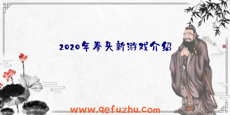 2020年拳头新游戏介绍