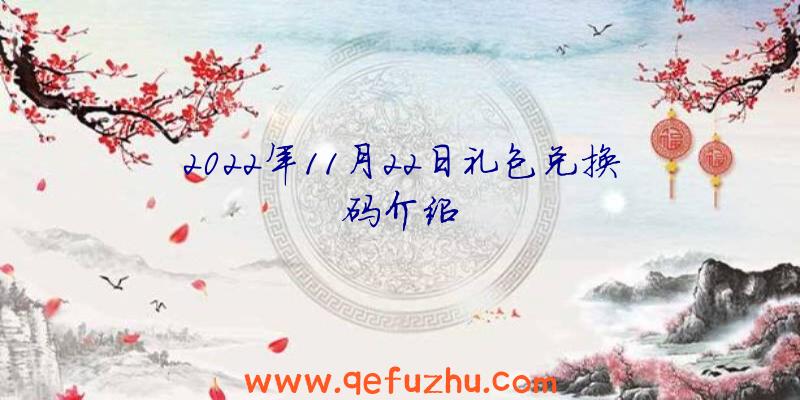 2022年11月22日礼包兑换码介绍