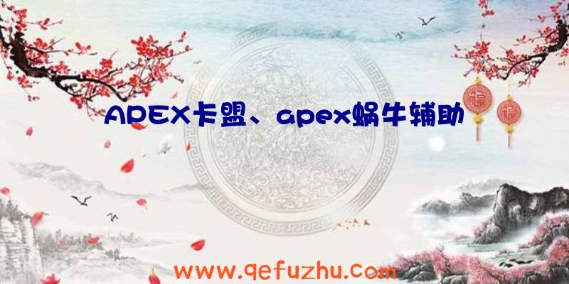 APEX卡盟、apex蜗牛辅助