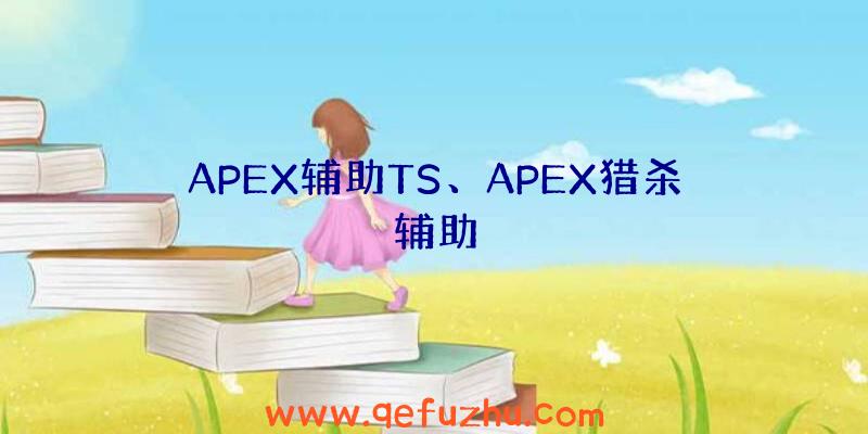 APEX辅助TS、APEX猎杀辅助