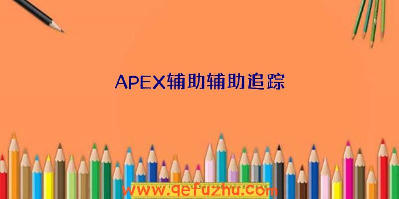 APEX辅助辅助追踪