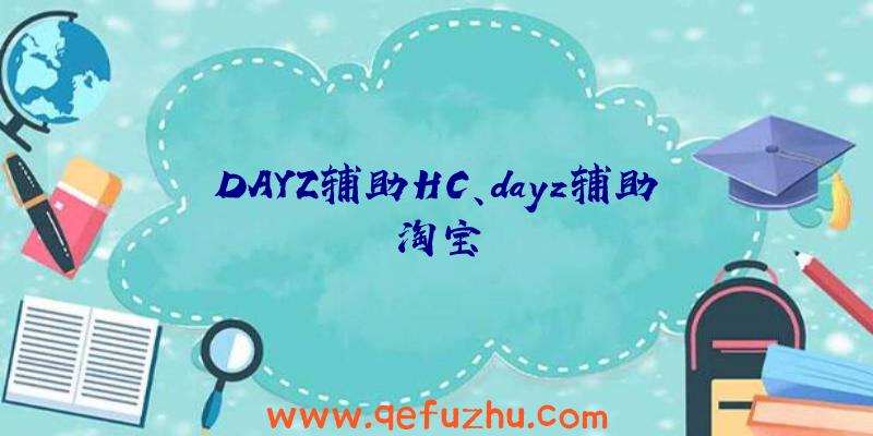 DAYZ辅助HC、dayz辅助淘宝