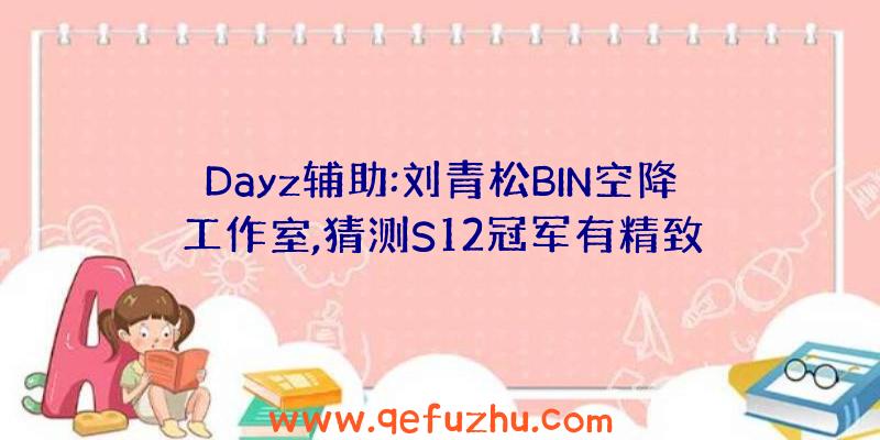 Dayz辅助:刘青松BIN空降工作室,猜测S12冠军有精致