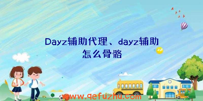 Dayz辅助代理、dayz辅助怎么骨骼