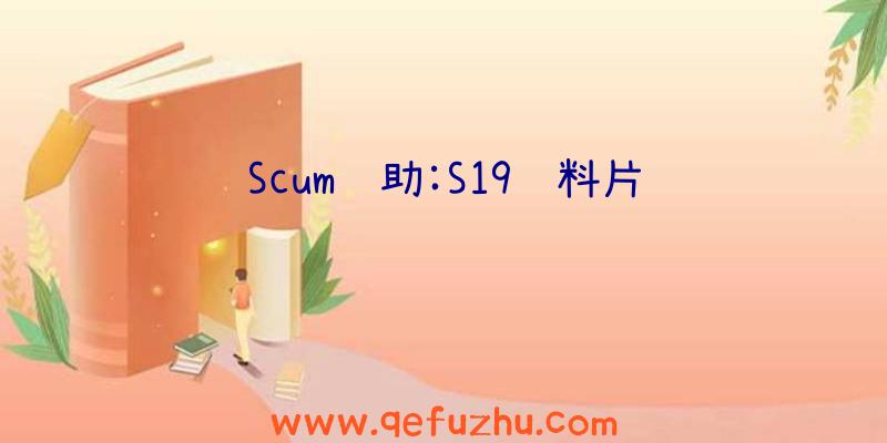 Scum辅助:S19资料片