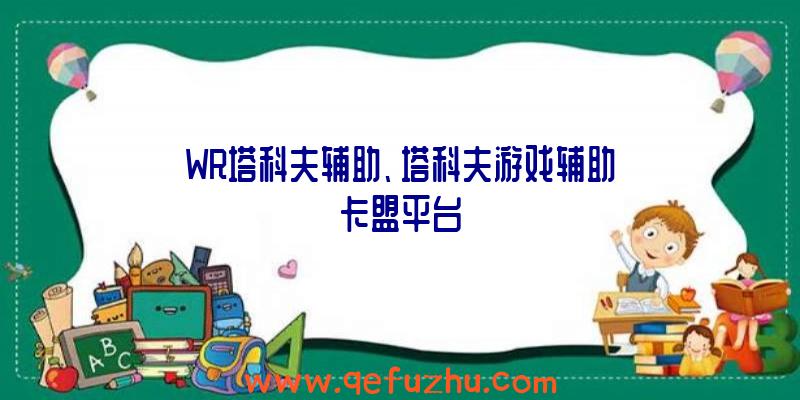 WR塔科夫辅助、塔科夫游戏辅助卡盟平台