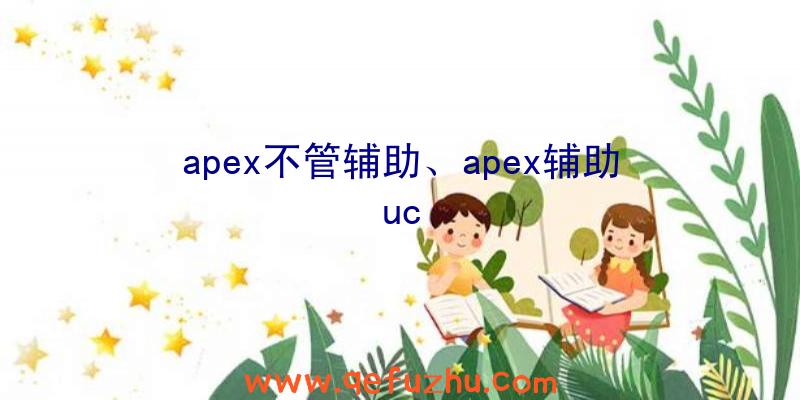 apex不管辅助、apex辅助uc