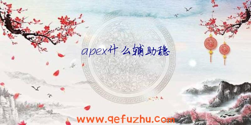 apex什么辅助稳