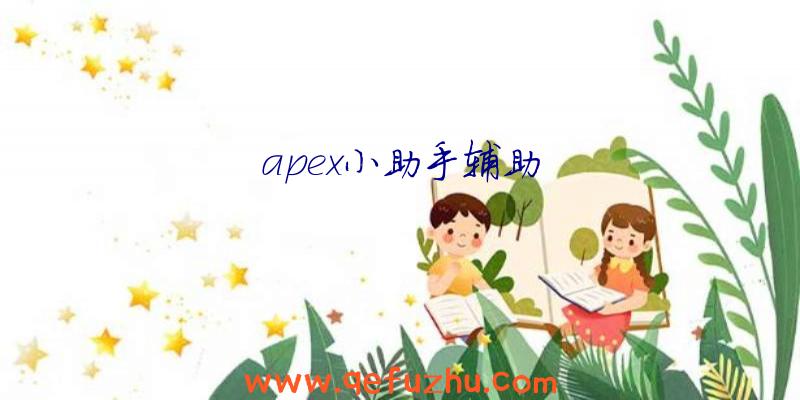 apex小助手辅助