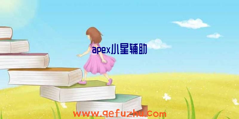 apex小星辅助