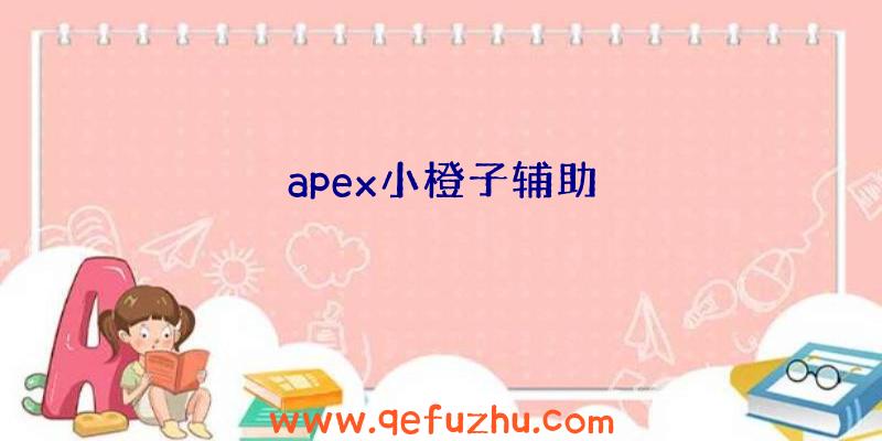 apex小橙子辅助