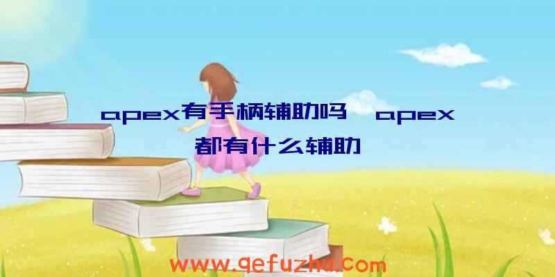 apex有手柄辅助吗、apex都有什么辅助