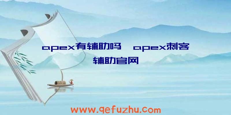 apex有辅助吗、apex刺客辅助官网