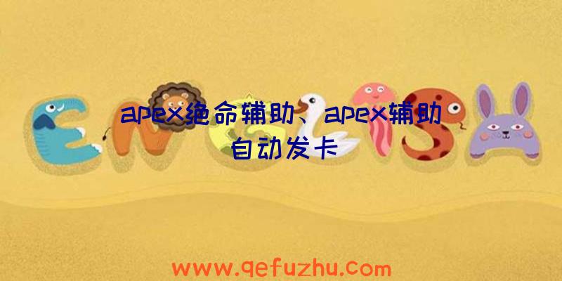 apex绝命辅助、apex辅助自动发卡