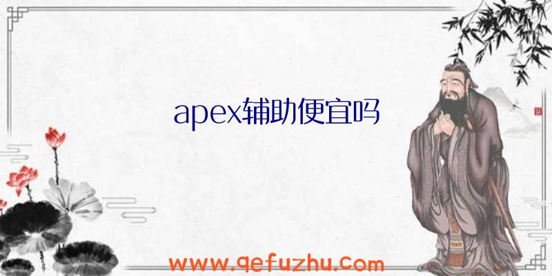 apex辅助便宜吗