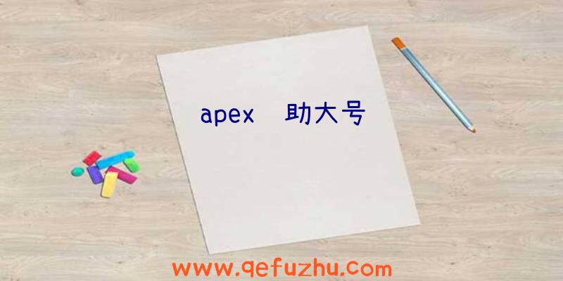 apex辅助大号