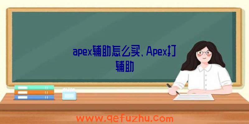 apex辅助怎么买、Apex打辅助