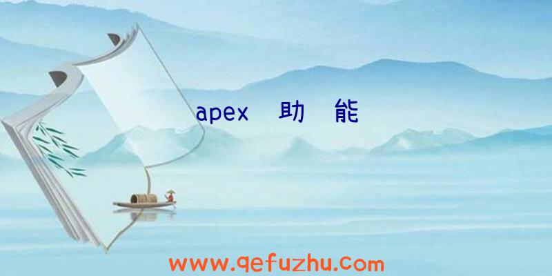 apex辅助职能