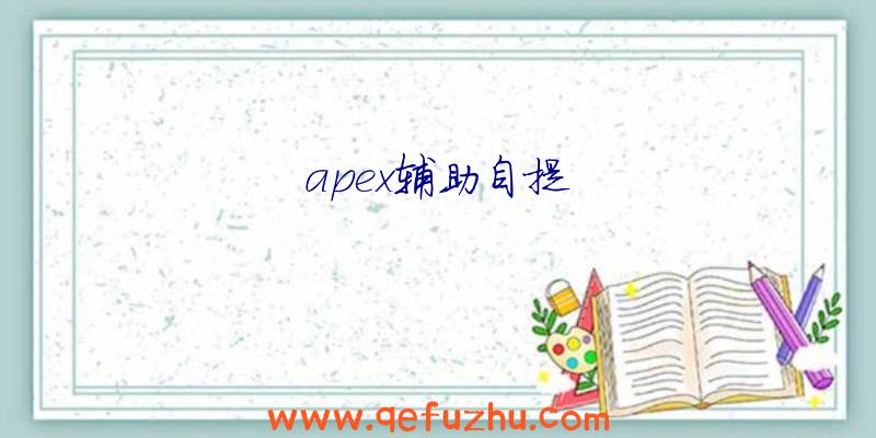 apex辅助自提