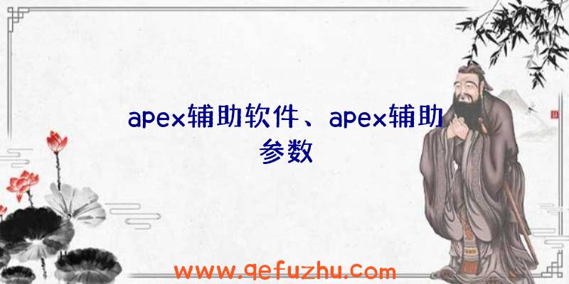 apex辅助软件、apex辅助参数