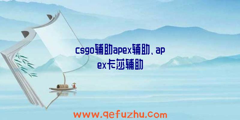 csgo辅助apex辅助、apex卡莎辅助