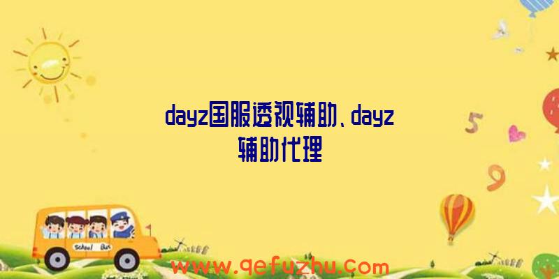 dayz国服透视辅助、dayz辅助代理