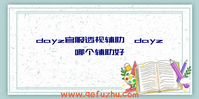 dayz官服透视辅助、dayz哪个辅助好