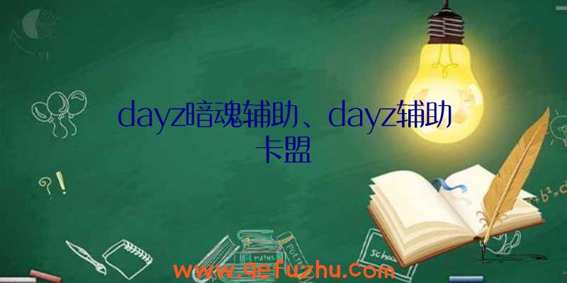 dayz暗魂辅助、dayz辅助卡盟