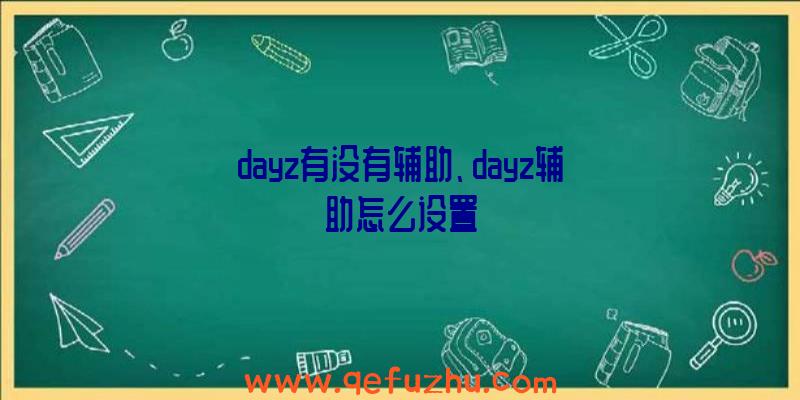 dayz有没有辅助、dayz辅助怎么设置