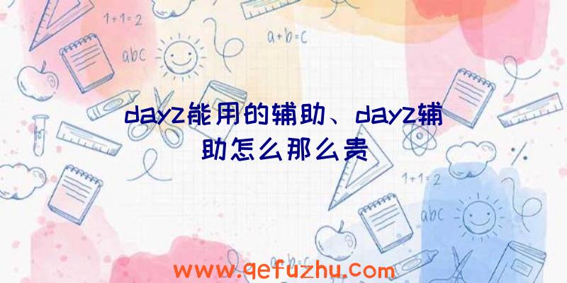 dayz能用的辅助、dayz辅助怎么那么贵