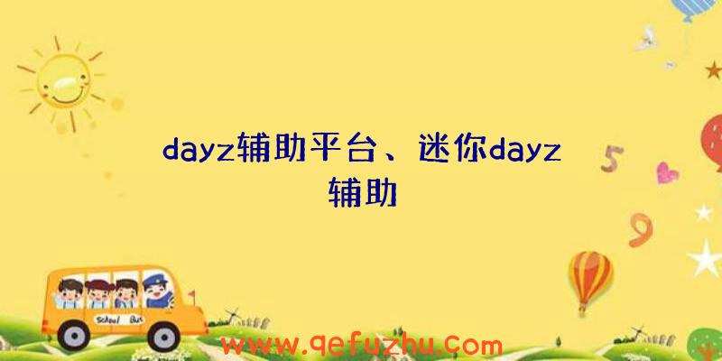 dayz辅助平台、迷你dayz辅助