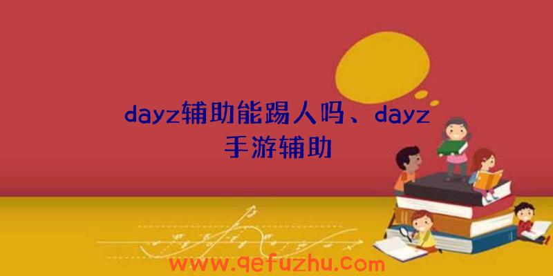 dayz辅助能踢人吗、dayz手游辅助