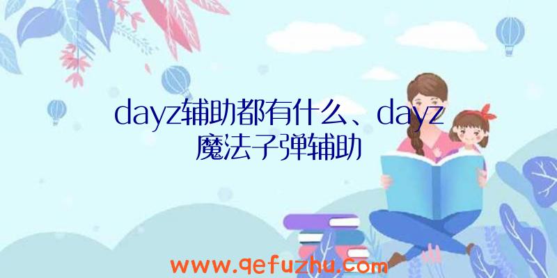 dayz辅助都有什么、dayz魔法子弹辅助