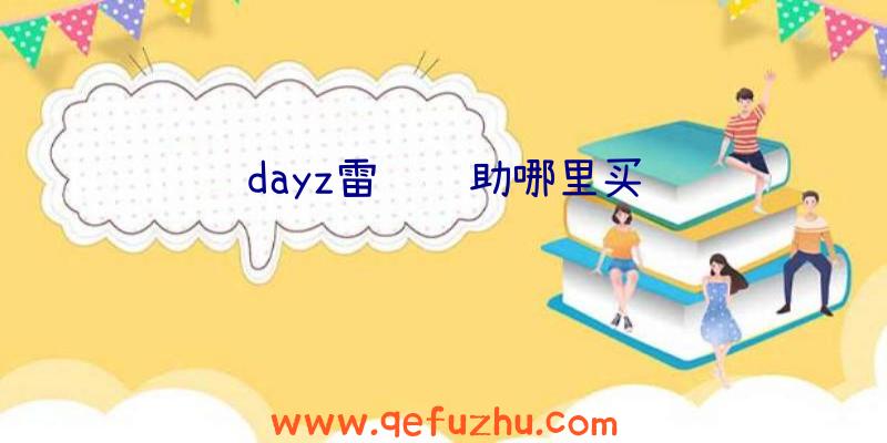 dayz雷达辅助哪里买