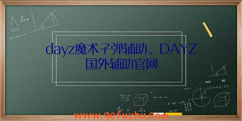 dayz魔术子弹辅助、DAYZ国外辅助官网