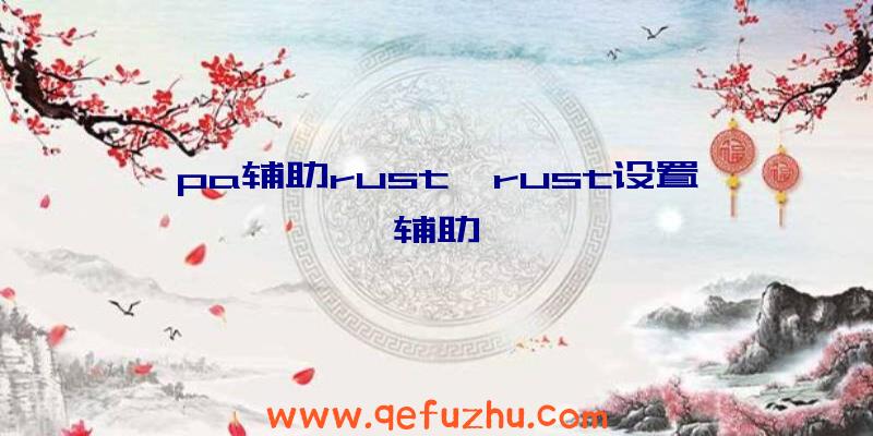 pa辅助rust、rust设置辅助