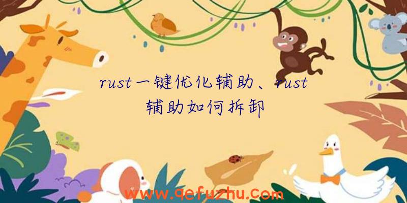 rust一键优化辅助、rust辅助如何拆卸