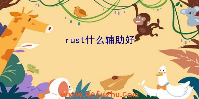 rust什么辅助好