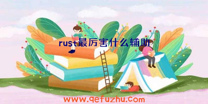 rust最厉害什么辅助