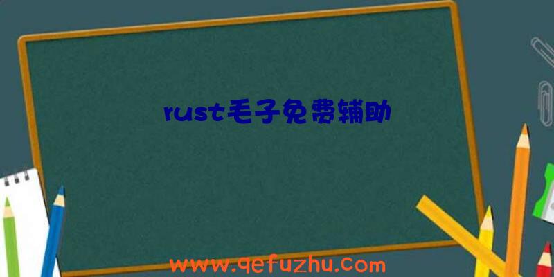 rust毛子免费辅助