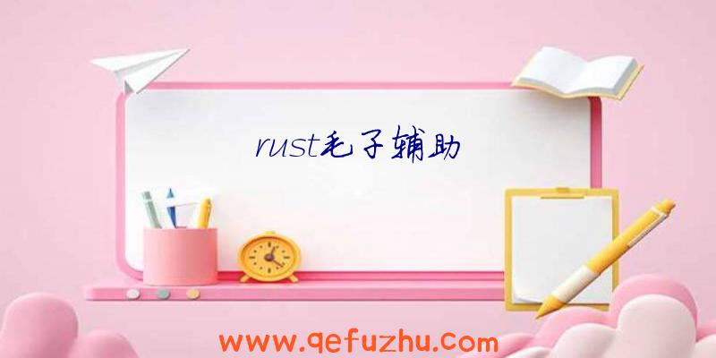 rust毛子辅助