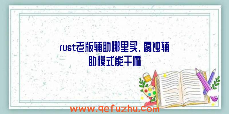 rust老版辅助哪里买、腐蚀辅助模式能干嘛