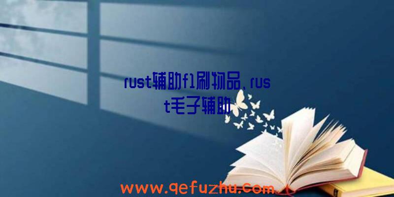 rust辅助f1刷物品、rust毛子辅助