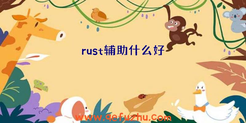 rust辅助什么好