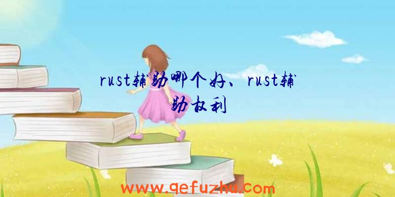 rust辅助哪个好、rust辅助权利