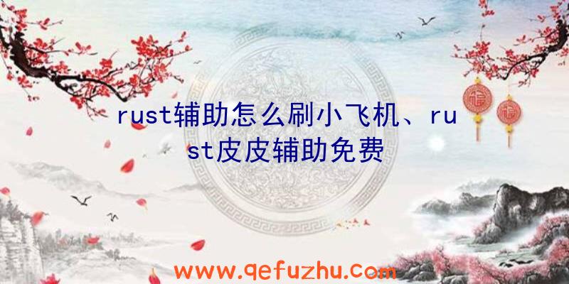 rust辅助怎么刷小飞机、rust皮皮辅助免费