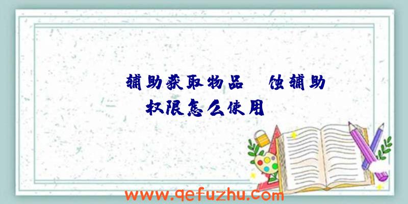 rust辅助获取物品、腐蚀辅助权限怎么使用