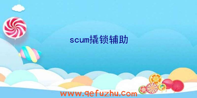 scum撬锁辅助