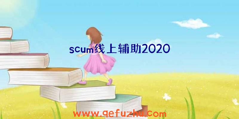 scum线上辅助2020