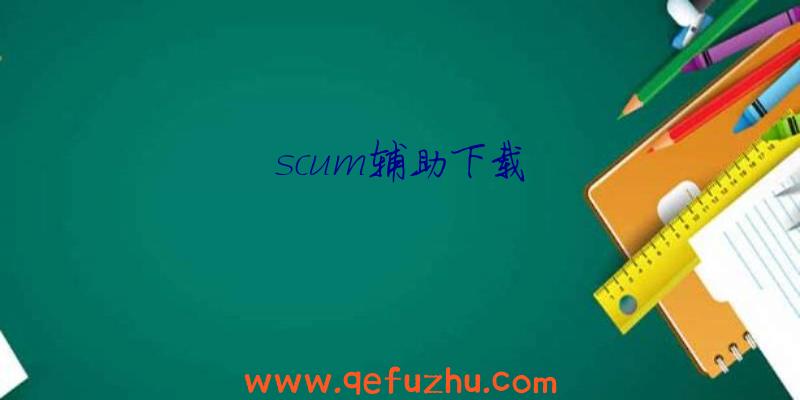 scum辅助下载